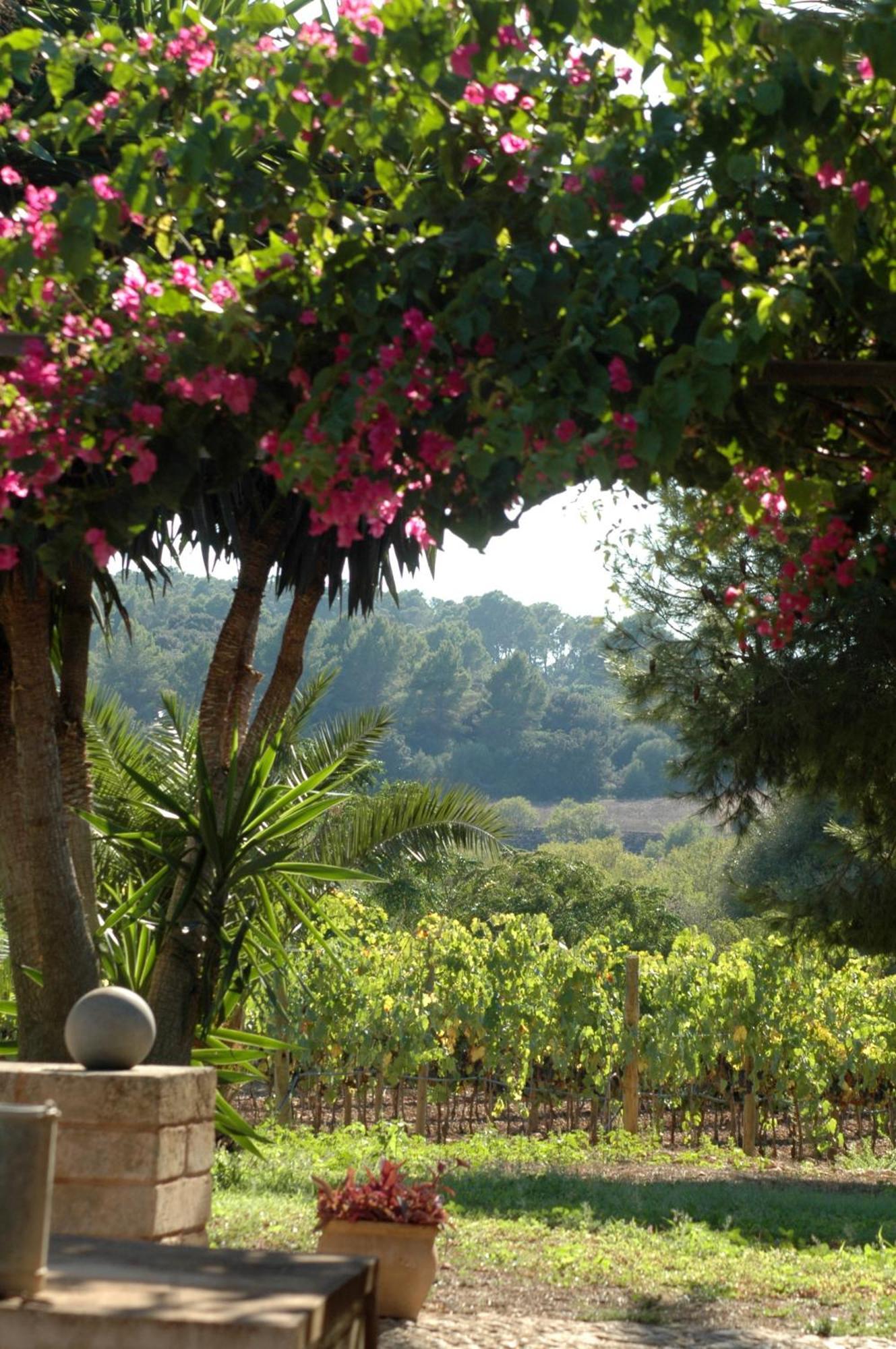 Oliver Moragues Grandhouse & Vineyard Algaida  Exterior photo