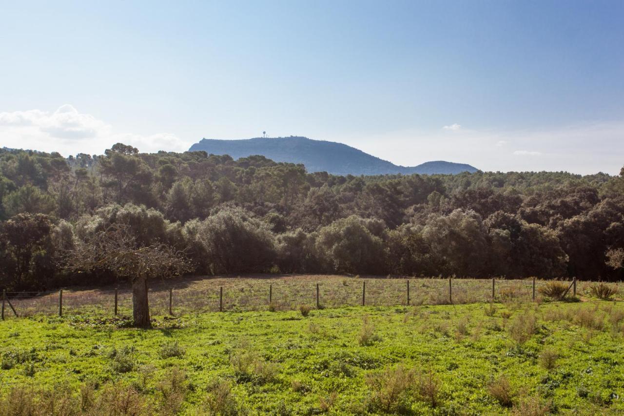 Oliver Moragues Grandhouse & Vineyard Algaida  Exterior photo