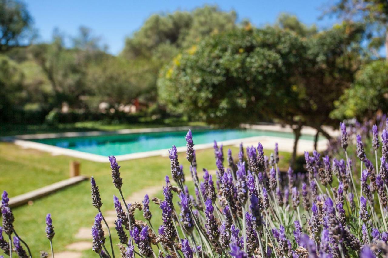 Oliver Moragues Grandhouse & Vineyard Algaida  Exterior photo